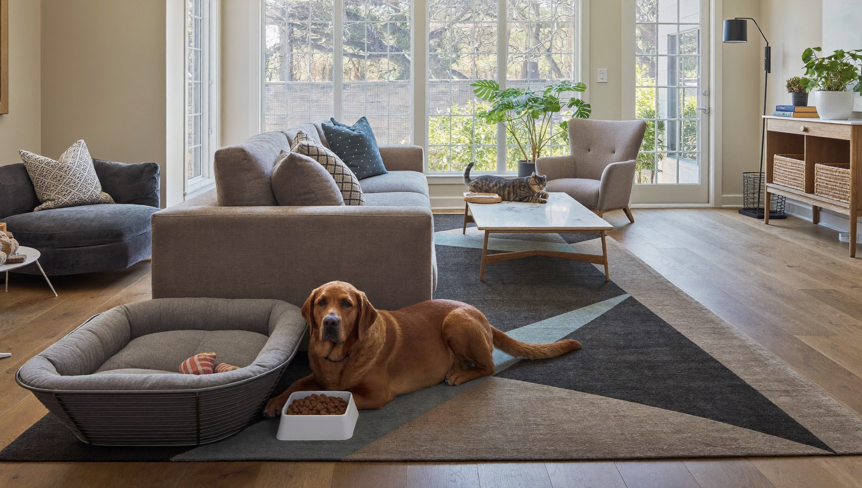Arredare la Casa con Animali Domestici: Consigli, Materiali e Stili Ideali – romadesignpiu.it